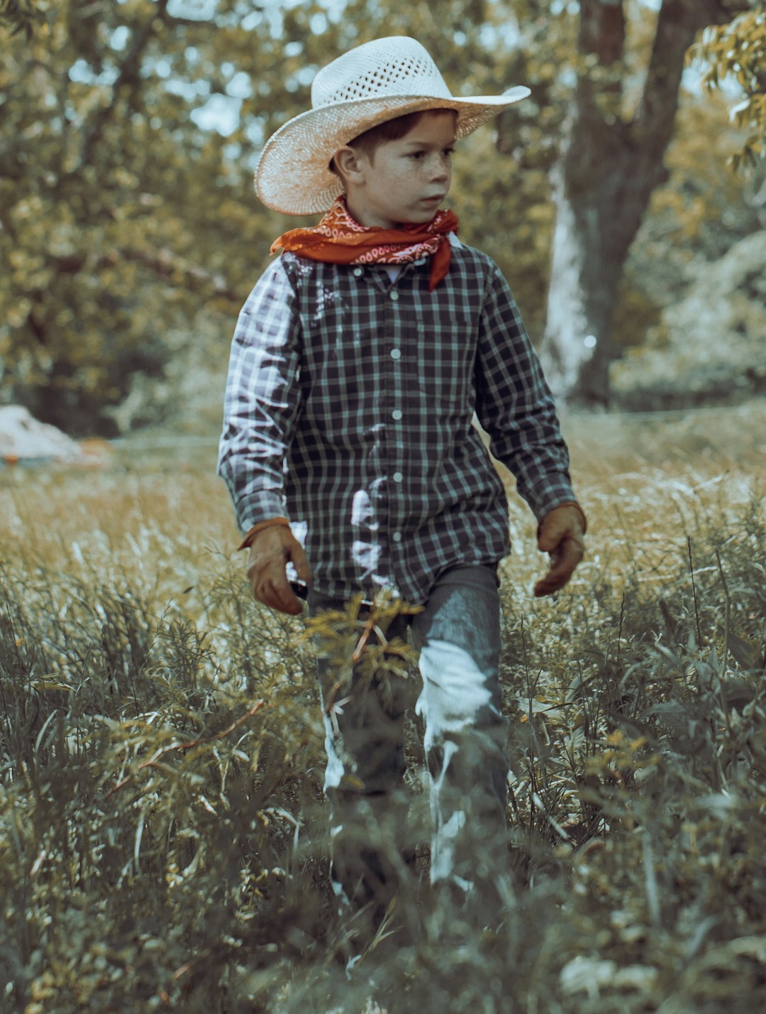 Cowboy hat fact image